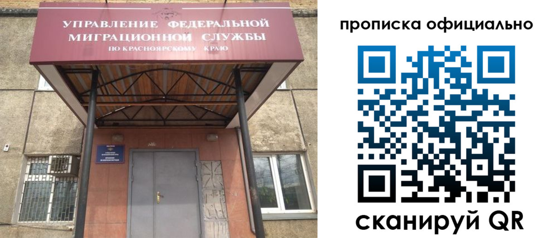 прописка поиск в Клине
